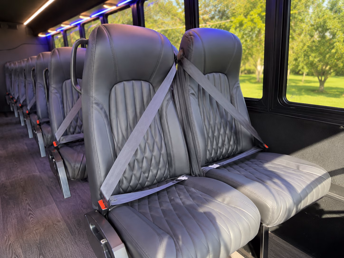 minibuses for st george dinosaur discovery site and science center trips