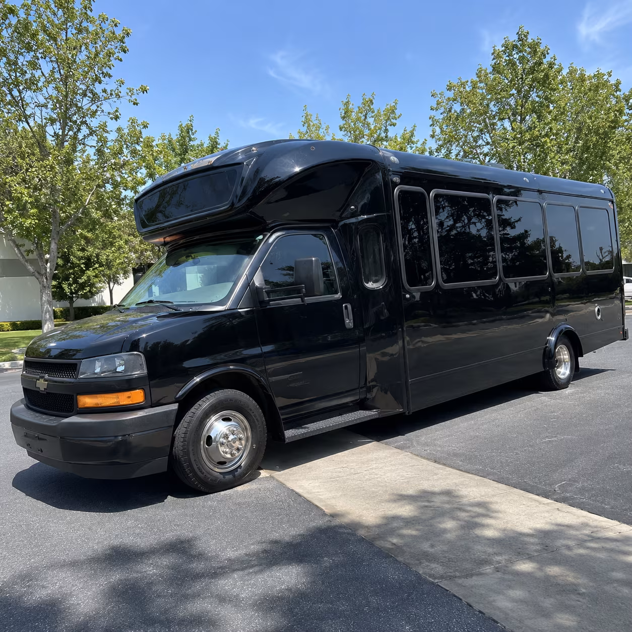 st george 15 passenger party bus