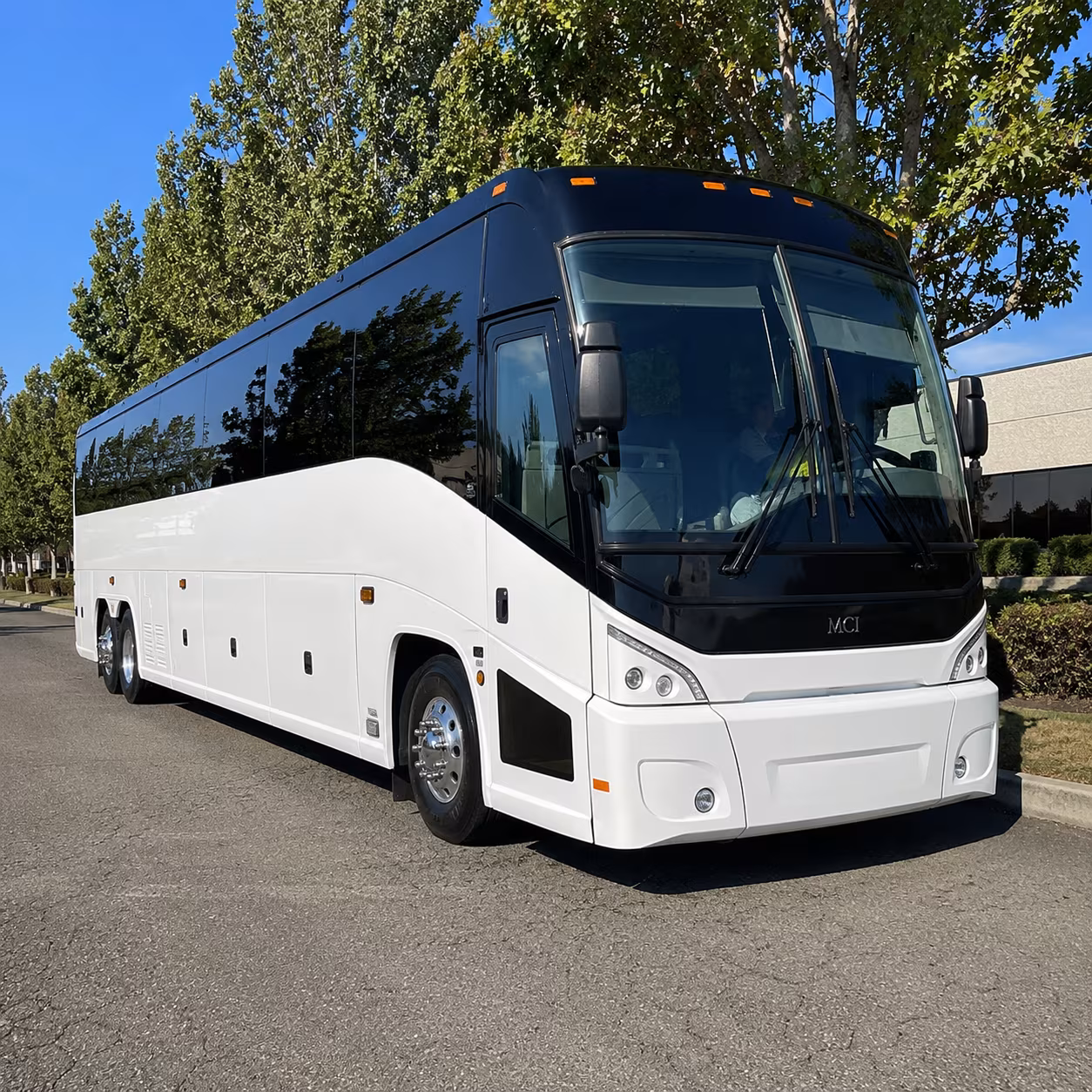 st george 50 passenger charter bus