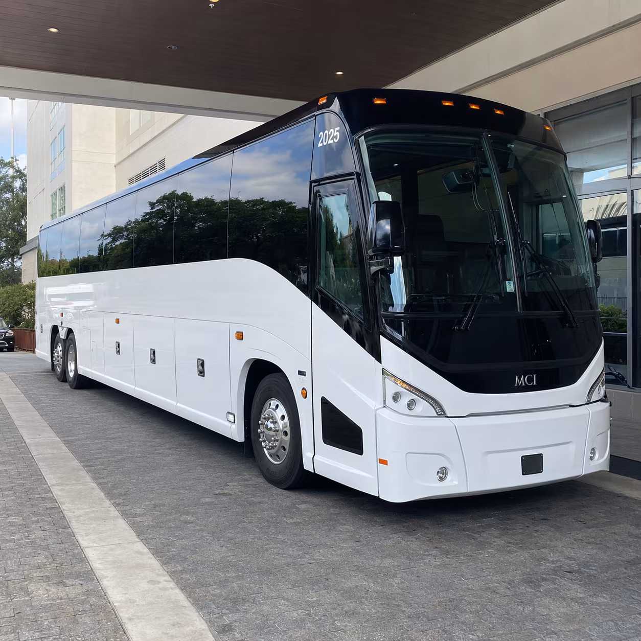 st george 54 passenger charter bus