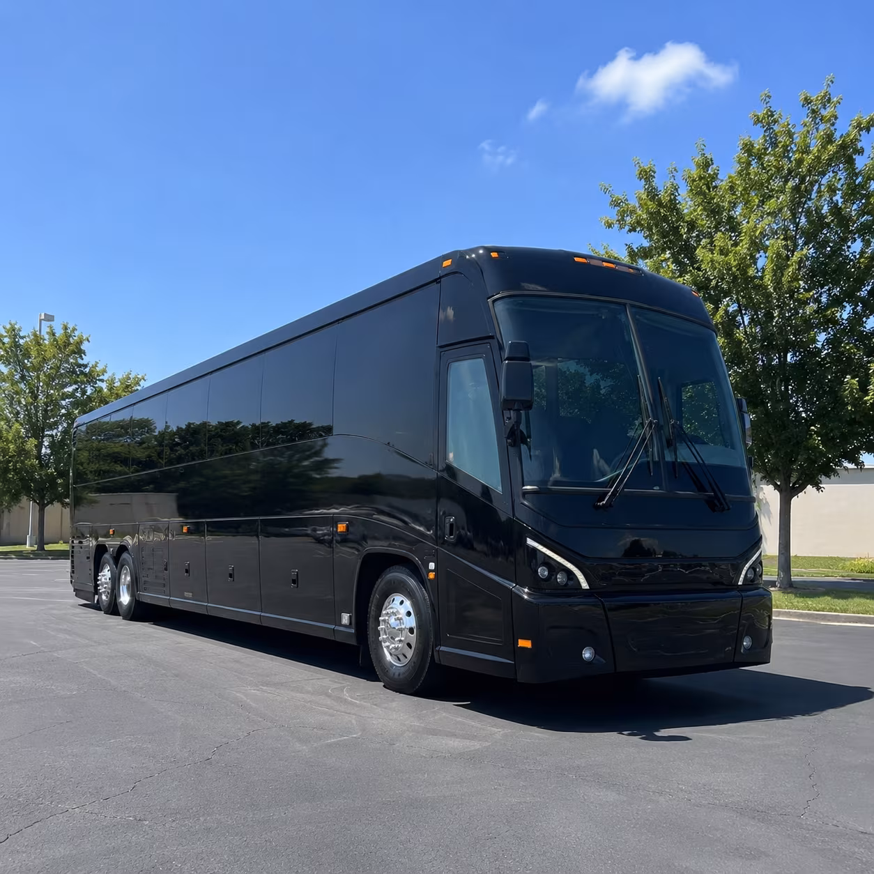 st george 56 passenger charter bus